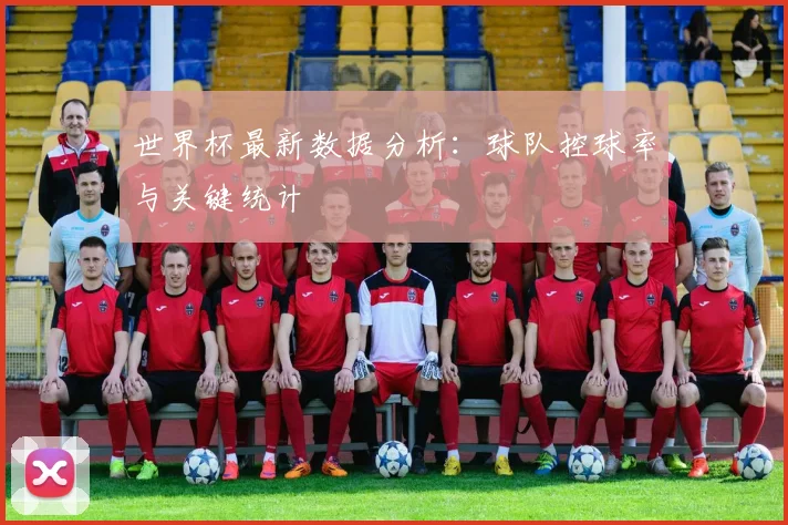 世界杯最新数据分析:球队控球率与关键统计