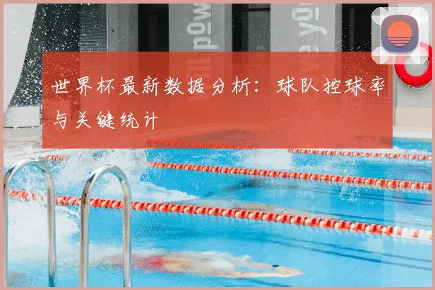 世界杯最新数据分析：球队控球率与关键统计
